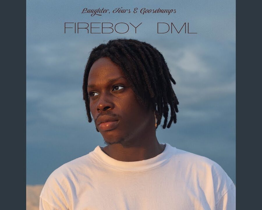 Fireboy DML – What If I Say